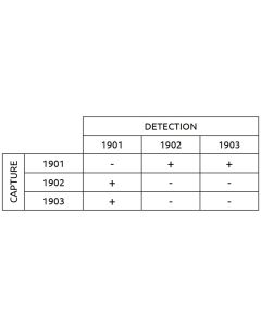 Anti-h Adiponectin 1901 SPTN-5