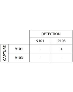 Anti-h C-peptide 9101 SPTN-5