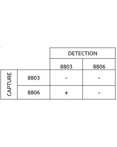 Anti-h Ferritin 8803 SPRN-5