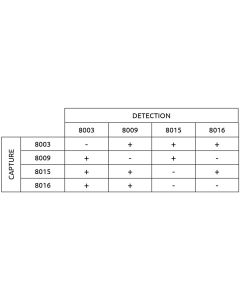 Anti-h PG I 8009 SPTN-1