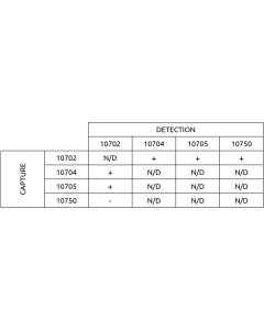 Anti-h PTH 10705 SPTN-5