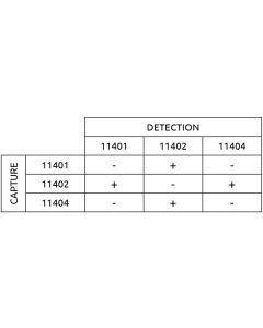 Anti-h S100B 11401 SPTN-5